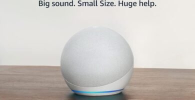 Amazon Echo Dot (newest model), With bigger vibrant sound, helpful routines and Alexa, Glacier White