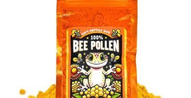 100% Bee Pollen Powder - Food for Reptiles