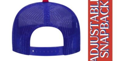 IT'S NOT GONNA LICK ITSELF Funny Gag Gift Trucker Hat for men women man woman brother sister bachelor inappropriate humor funny (IT'S NOT GONNA)