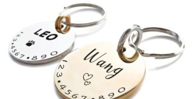 Cats Dogs ID Tags Personalized Lovely Symbols Pets Collar Name Accessories Simple Custom Engraved Products for Extra Small Four Legged Child Necklace Chain Anti-Lost Copper Brass Charm